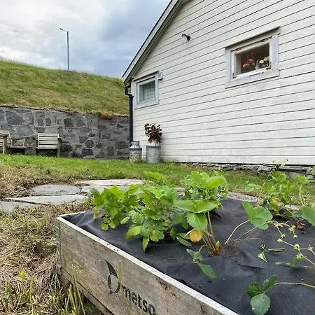 I Landlige Omrade Med Nydelig Utsikt Leirvik (Sogn og Fjordane)